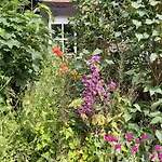 Apartment In Mit Garten- Grill Und Terrasse By Interhome *