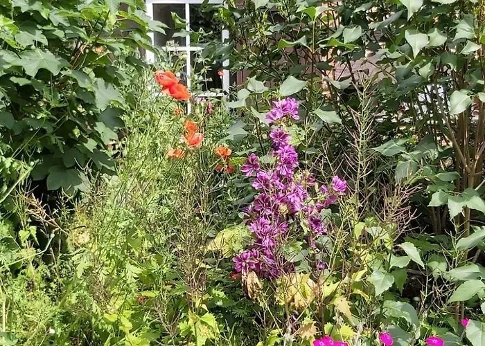 アパート In Mit Garten- Grill Und Terrasse By Interhome *