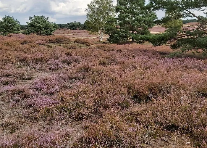 In Mit Garten- Grill Und Terrasse By Interhome Jameln