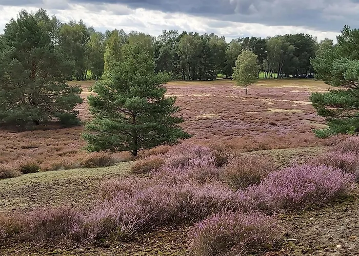 In Mit Garten- Grill Und Terrasse By Interhome * Jameln