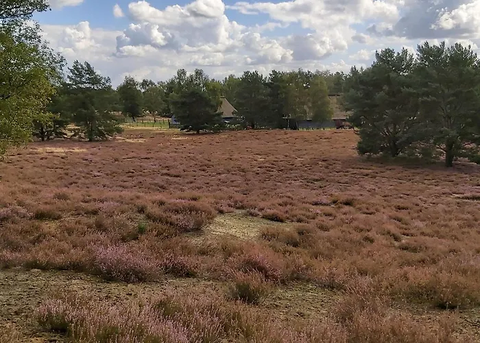 アパート In Mit Garten- Grill Und Terrasse By Interhome Jameln