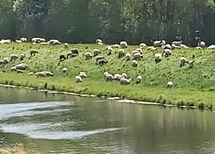 In Mit Garten- Grill Und Terrasse By Interhome アパート