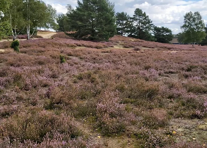 In Mit Garten- Grill Und Terrasse By Interhome アパート Jameln